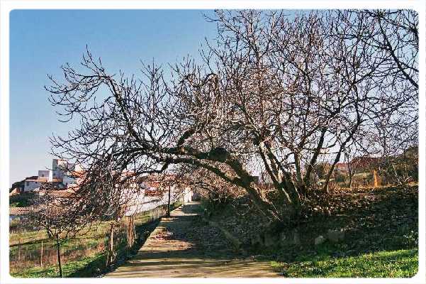 Las Nogueras Otoño